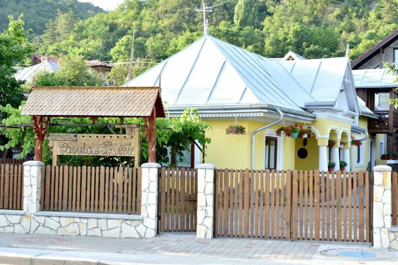 Casuta De Poveste Târgu Neamț Zewnętrze zdjęcie