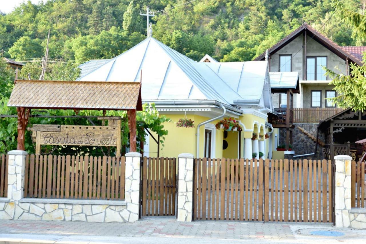 Casuta De Poveste Târgu Neamț Zewnętrze zdjęcie